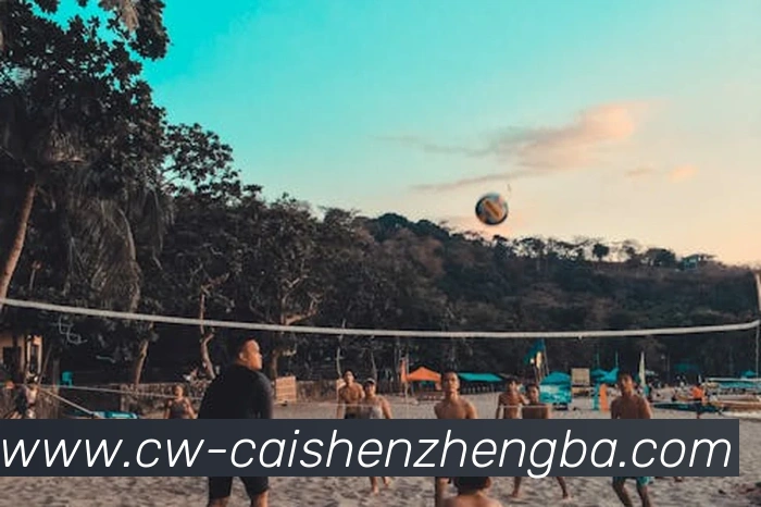 彩神争霸平台生态图